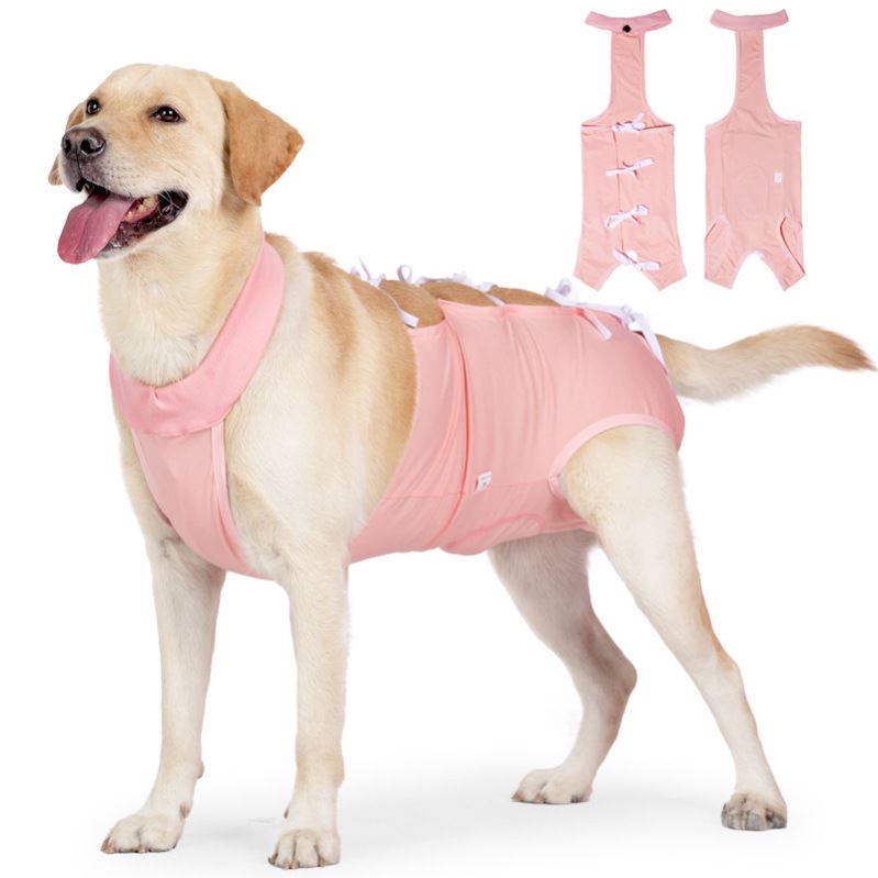 狗狗绝育服宠物手术服薄款母犬产后断奶服全包肚子绑带狗狗衣服