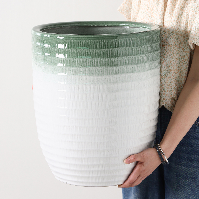 花盆大口径客厅落地发财树渐变色