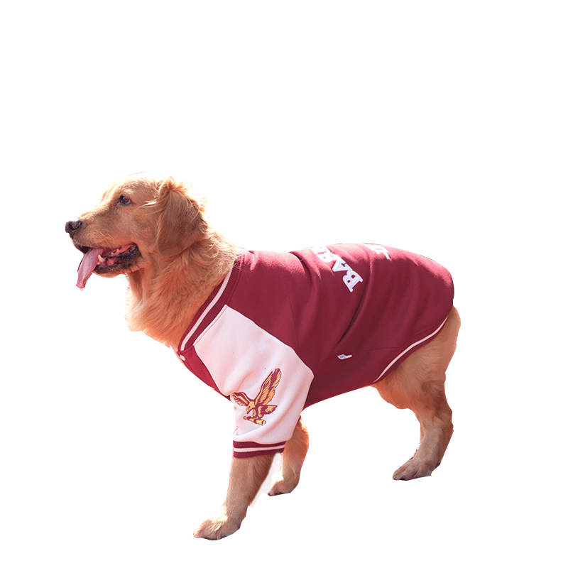 大狗狗衣服大型犬棒球服金毛犬秋冬装萨摩耶拉布拉多阿拉斯加衣服