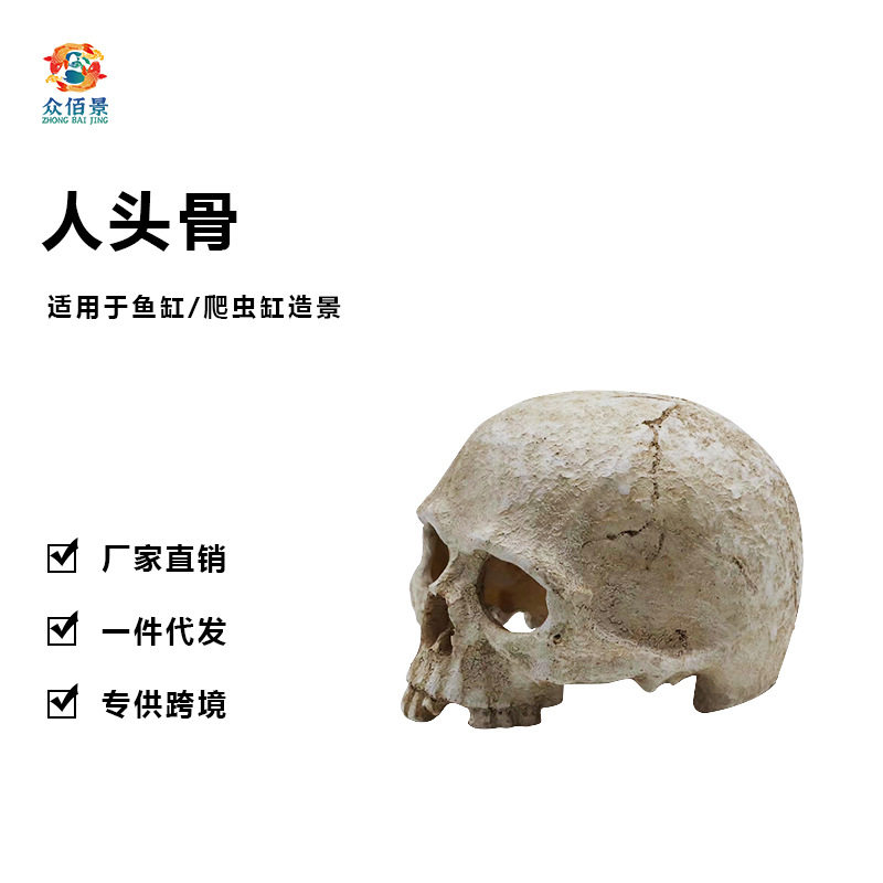 树脂人头骨躲避屋爬宠爬虫造景头骨鱼缸水族箱摆件环保树脂造景