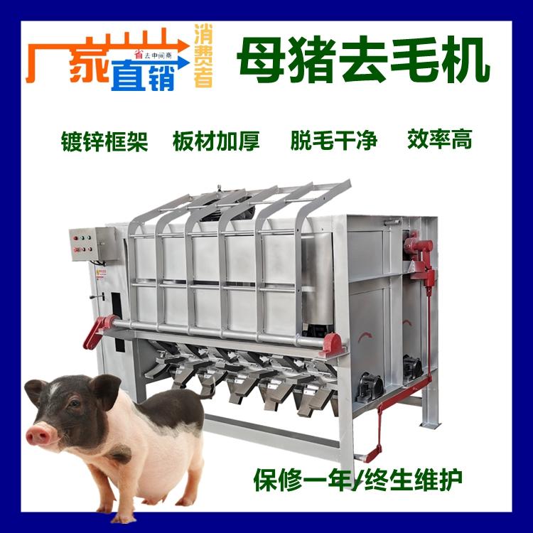 家用猪脱毛生猪母猪打毛刨毛机器大型猪去毛拔毛设备整猪去毛机器