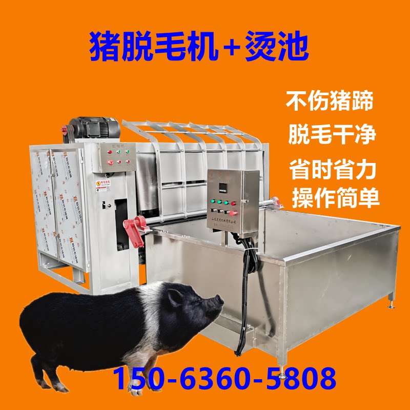 生猪刨毛机猪脱毛机器屠宰场烫毛去毛设备猪牛羊打毛机整猪拔毛