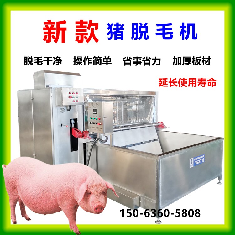 整猪脱毛机屠宰场猪打毛刨毛机大型猪刮毛机全自动生猪拔毛机器