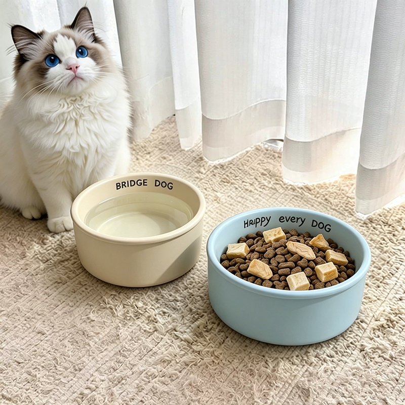 猫碗小猫幼猫吃饭用猫小型宠物碗简约纯色亮蓝色家用宠物餐具可爱