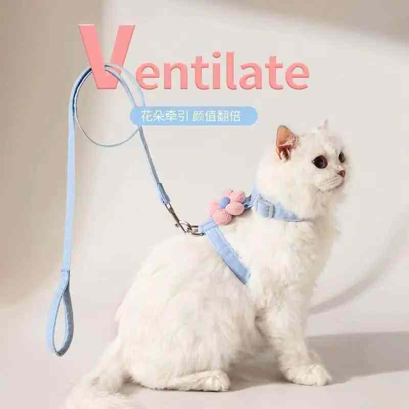 牵引绳猫咪专用外出猫防挣脱遛猫幼猫绳子布偶猫金吉拉宠物绳背带,宠物/宠物食品及用品,猫牵引绳,淘宝优惠券,粉丝福利购,淘宝优惠卷