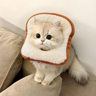 伊丽莎白圈猫咪项圈围脖防舔咬柔软通用防舔圈宠物用品可爱风术后