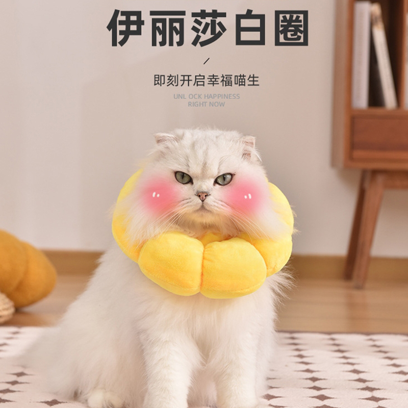 猫伊丽莎白圈猫咪幼猫不影响可吃饭小猫猫用软头套防挣脱项圈脖套