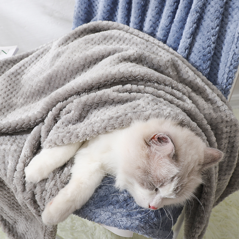 宠物小被子绒毛毯狗狗小毯子猫咪冬天专用睡垫狗窝猫窝睡觉用垫子