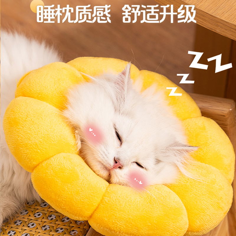 猫咪伊丽莎白圈猫不影响可吃饭耻辱圈幼猫小猫猫用软头套宠物用品