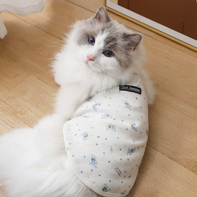 猫衣服秋天秋衣小吊带外出两脚背心外出高颜值布偶猫缅因猫银渐层