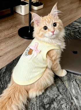 缅因猫衣服公猫咪帅气外出薄款猫背心夏天可爱卡通夏透气宠物黄色