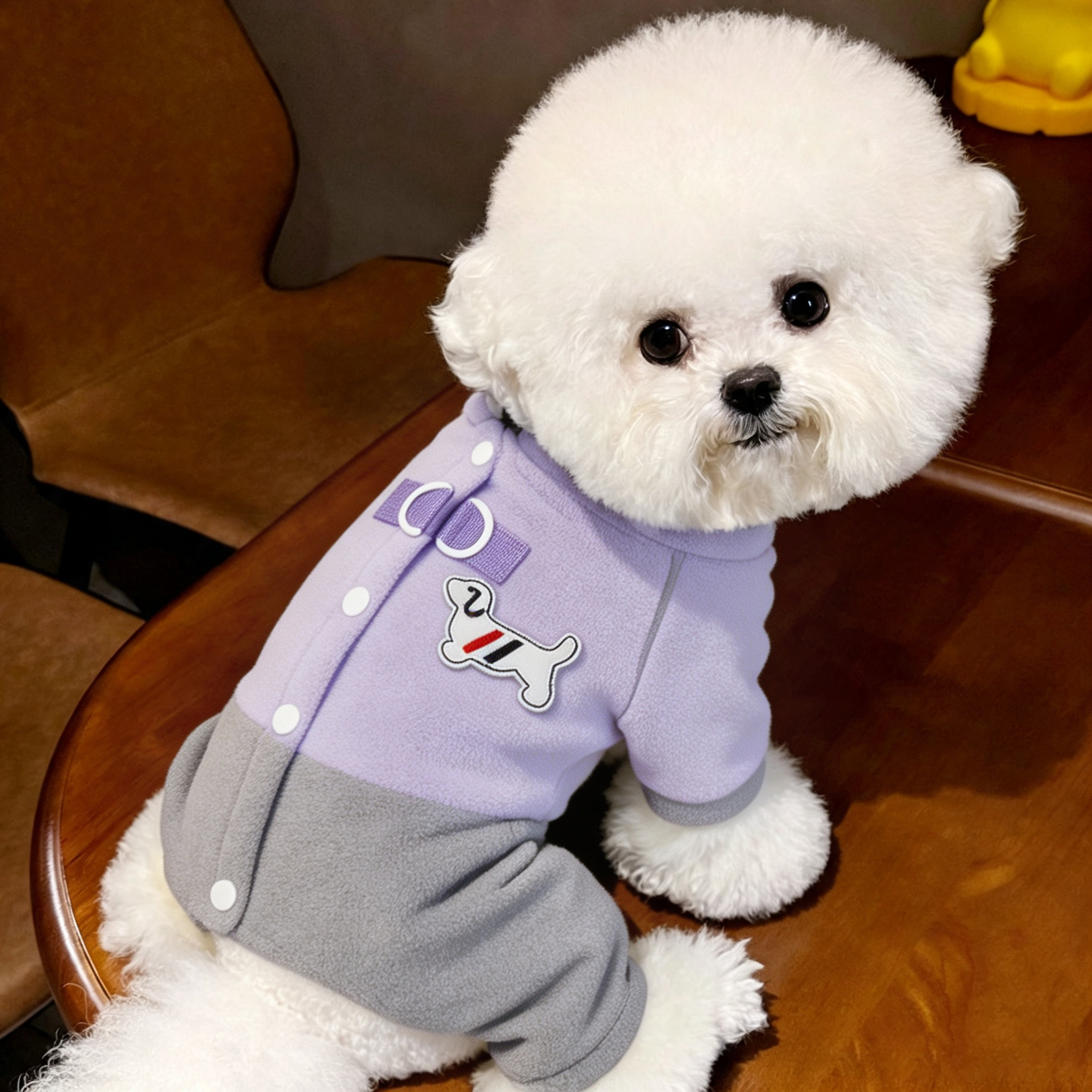 小狗狗保暖衣服小型犬比熊秋季新款四脚冬装雪纳瑞背扣可牵引泰迪