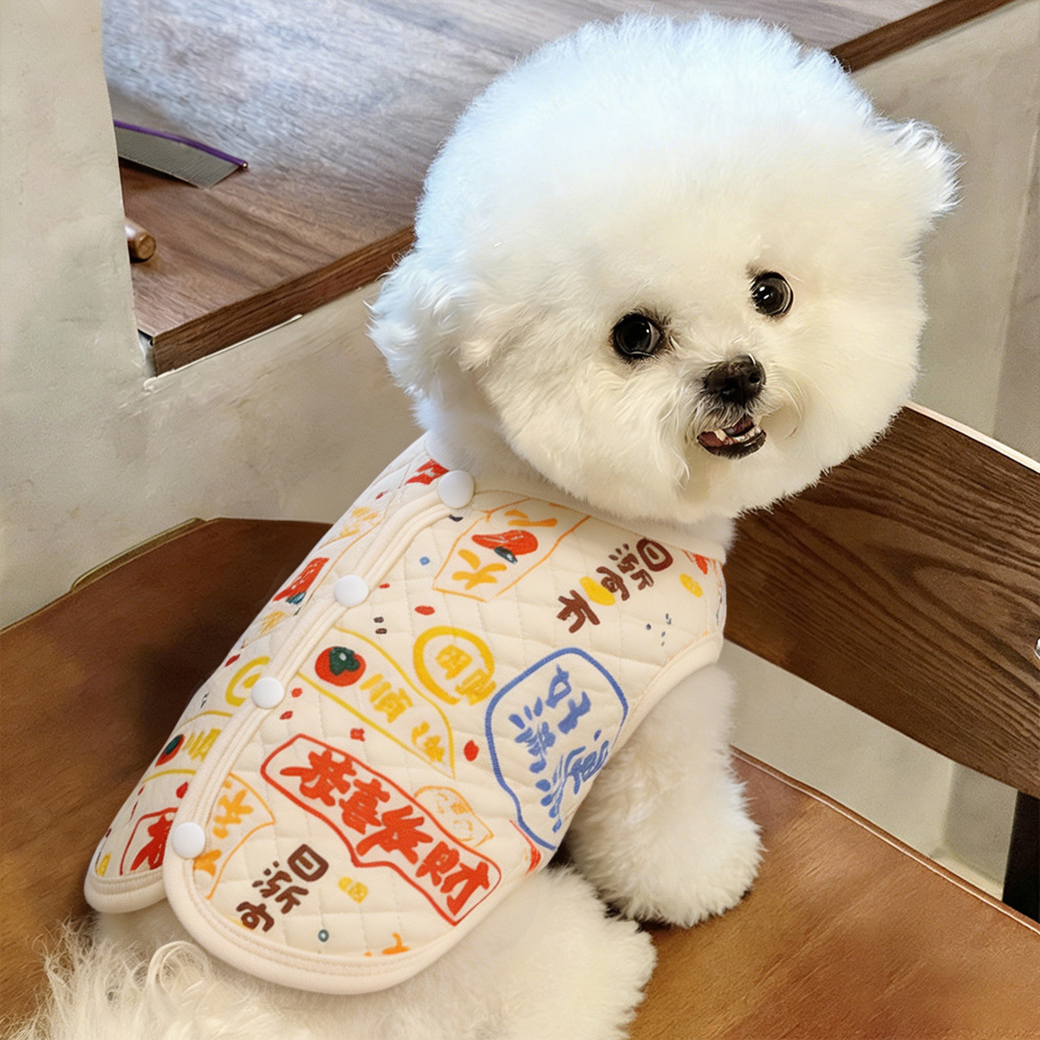 2026年秋冬新款狗狗衣服简约大气背心款小型犬约克夏博美宠物服装图片