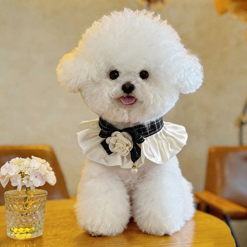 狗狗口水巾小型犬围脖小狗围兜幼犬山茶花格纹小香风时尚高颜值款