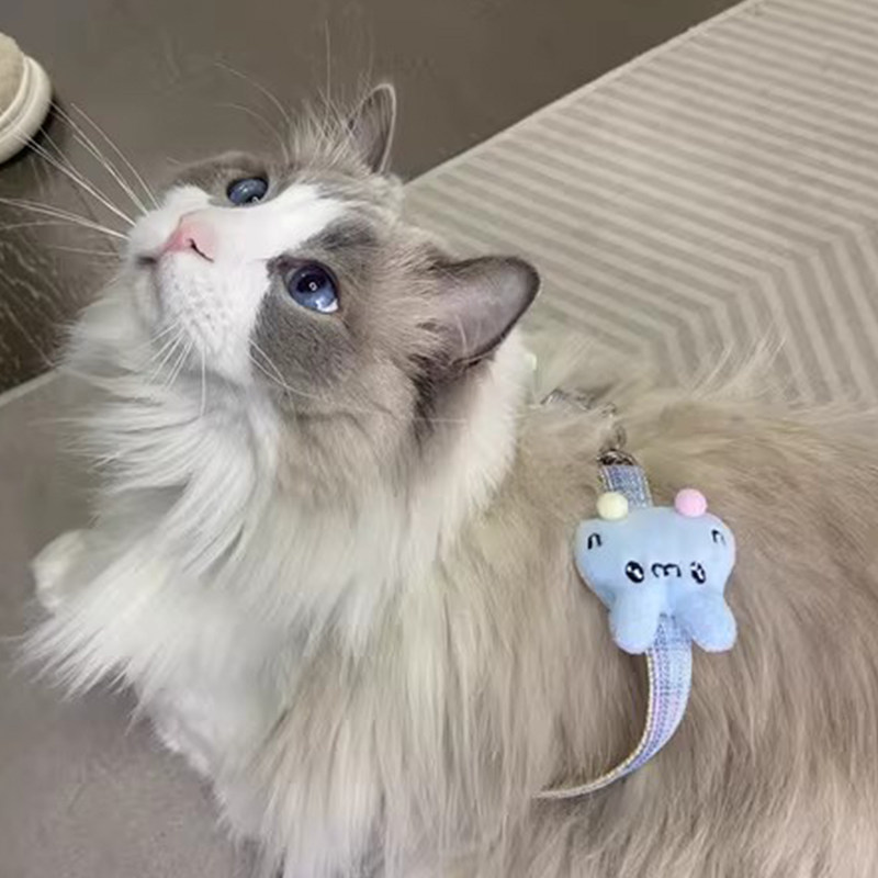 遛猫牵引绳可爱银渐层猫猫高颜值工字防挣脱网红外出专用宠物用品,宠物/宠物食品及用品,猫牵引绳,淘宝优惠券,粉丝福利购,淘宝优惠卷