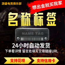 csgo改名卡武器改名道具名称标签1