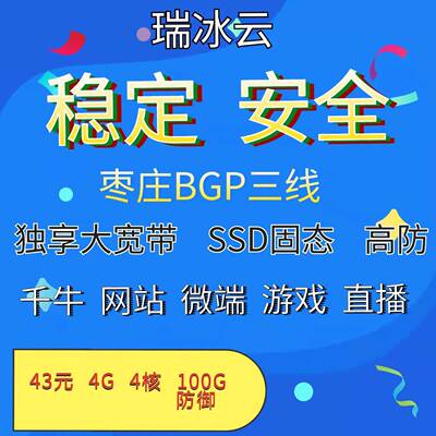 枣庄bgp国内高防云主机服务器