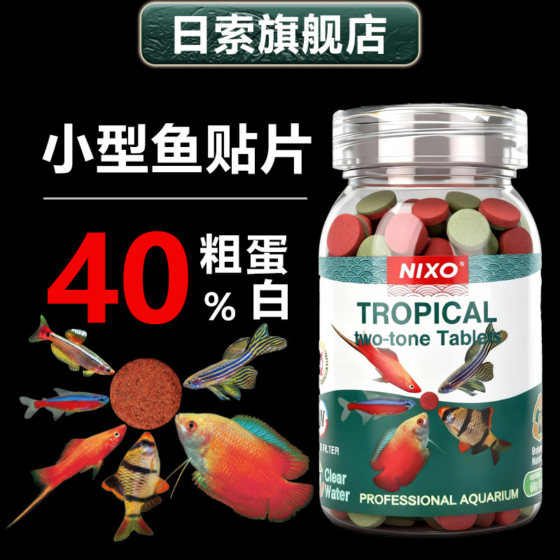 斑马鱼热带观赏鱼孔雀鱼红绿灯鱼好养易活淡水金鱼苗小型灯科小鱼