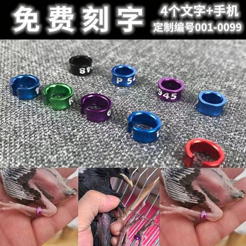 八哥脚环鹦鹉脚环定制鹩哥画眉环玄凤牡丹识别环鸟足扣铝合金脚环