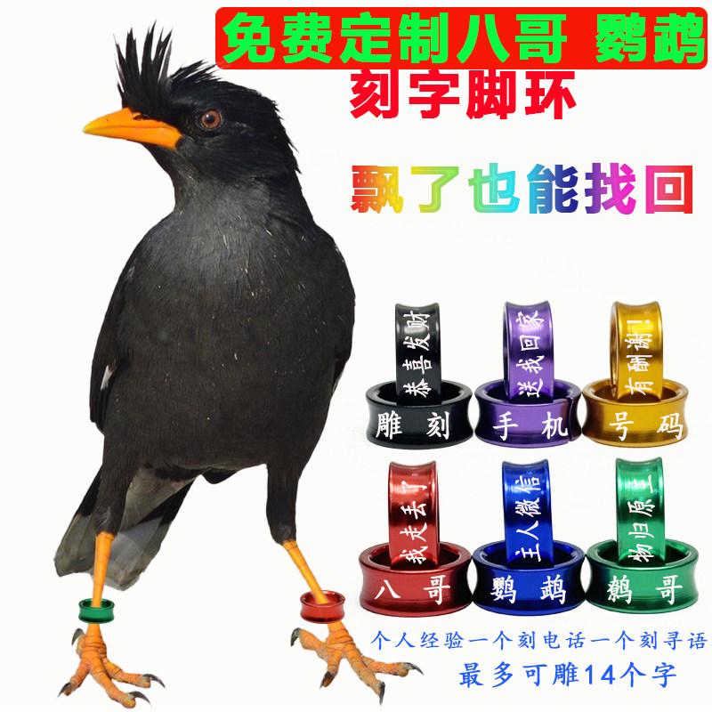 免费鸟脚环闭口铝合金鹦鹉玄凤环八鹩哥牡丹脚扣玉鸟开口刻字文鸟