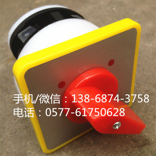 万能转换开关 二档转换开关 2档位 1节 16A LW5/LW5D-16N0296/1