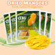 Dried the Mangoes Philippines宿雾芒果干零食100g Made Cebu
