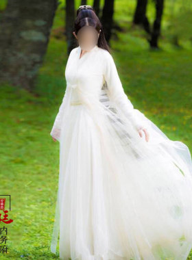 仙女服侠客服汉服女影视古装