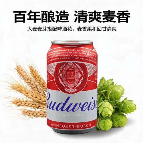 百威330ml小麦啤多省包邮啤酒