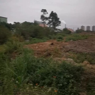 议价惠州市博罗县园洲镇45亩国土证工业用地低：转让，地主急用钱