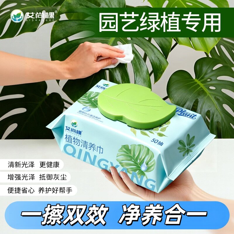 艾尚棵植物清养巾养护合一园艺绿植亮叶去尘温和滋养湿巾叶面肥