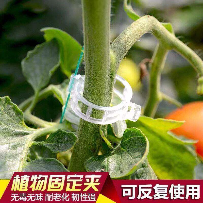 2单发200个蔬菜枝条固定器
