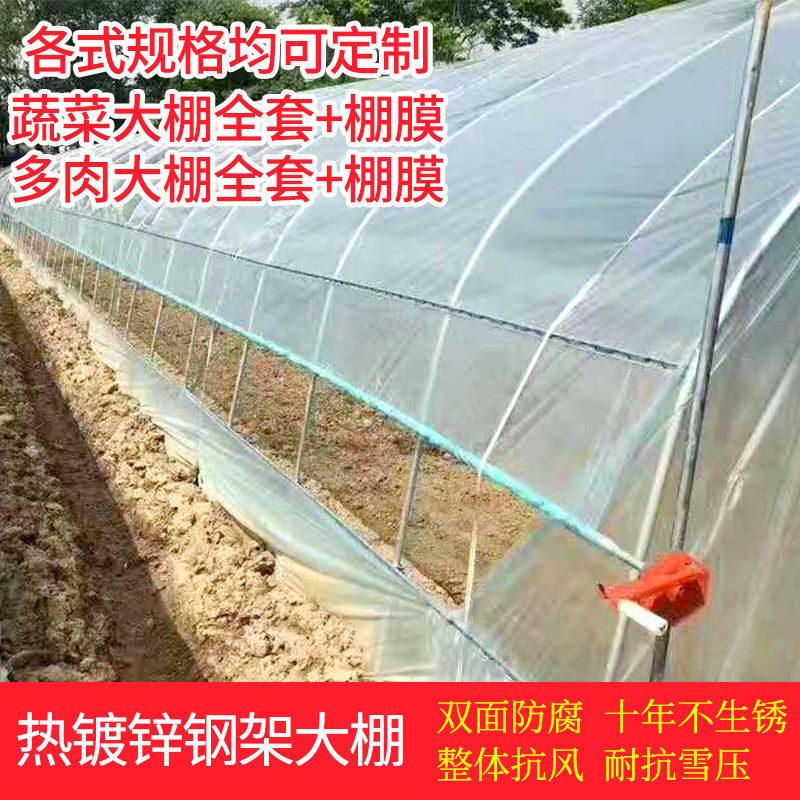 殖大棚连体连栋棚配件大棚骨架钢管迷你钢架温室大棚蔬菜种植棚养|ruв категории доставка цветов/цветок моделирования/растения садоводства, садовых принадлежностей, других садовых принадлежностей - от Buy2taobao.com для оказания профессиональной услуги покупки агента Taobao