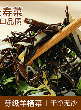 温州洞头羊栖菜海藻干货
