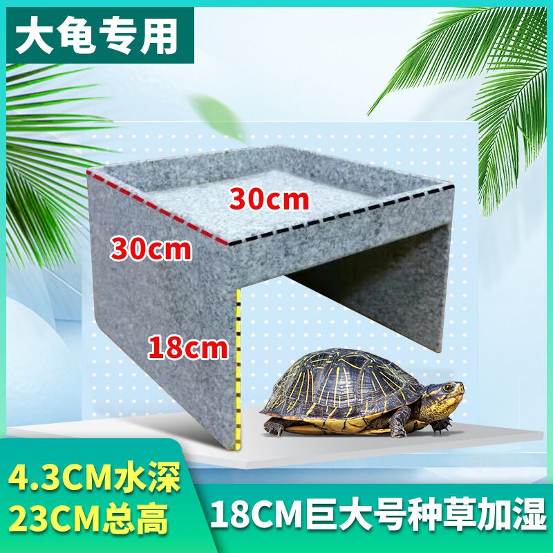 趣乖乖乌龟躲避天然石头制作精美