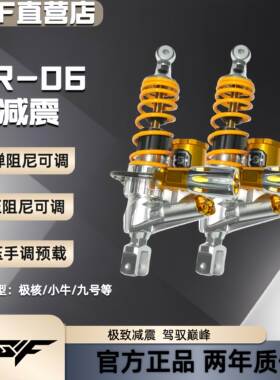 DSF后减震SR-06“特仕版”三可调适用九号E/M系列极核小牛NXT避震