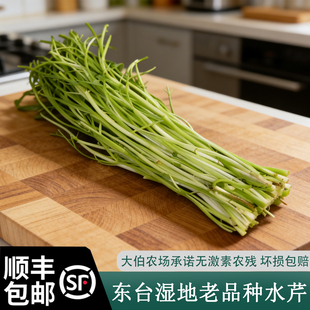 顺丰包邮 应季新鲜蔬菜 水芹菜新鲜  去叶野芹菜净菜农家自种蔬菜