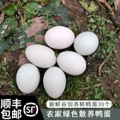 鸭蛋新鲜 生鸭蛋新鲜 30枚 包邮 农家 鸭蛋 新鲜 顺丰 散养