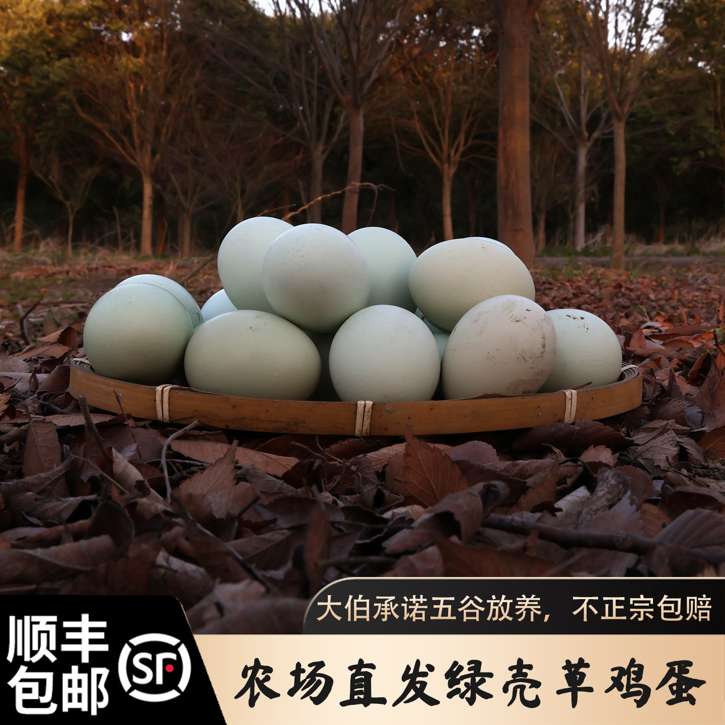 顺丰包邮大伯自己正宗散养 绿壳土鸡蛋 新鲜现捡孕妇婴幼儿辅食