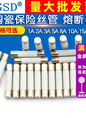 陶瓷保险丝管5x20mm250V熔断器式万用表1A2A3A5A10A15A30安保险管