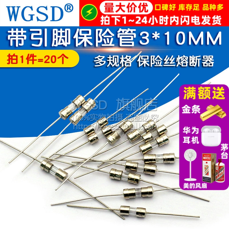 带引脚保险丝管WGSD3.6X10熔断器