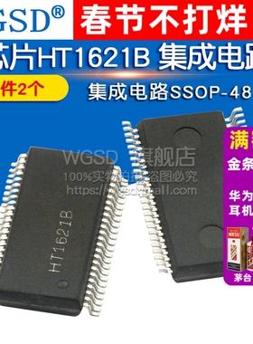 WGSD  芯片HT1621B 集成电路SSOP-48 IC (2个)