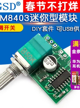 WGSD PAM8403迷你5V数字小功放板模块 DIY 可USB供电 diy
