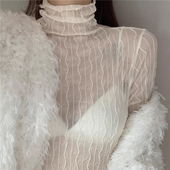 高领蕾丝打底衫 内搭洋气百搭高端搭配毛衣内衬性感网纱上衣 女新款