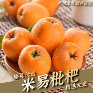 「果园现采顺丰」四川攀枝花米易高山早春枇杷应季(非五星特大果)