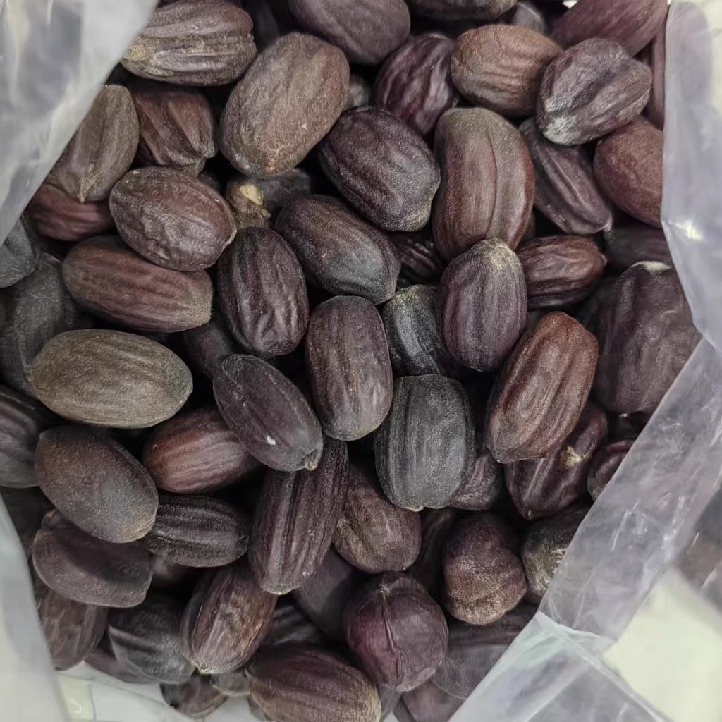 初级农产品荷荷巴籽荷荷芭籽霍霍巴又称西蒙木德籽火火巴籽10粒起