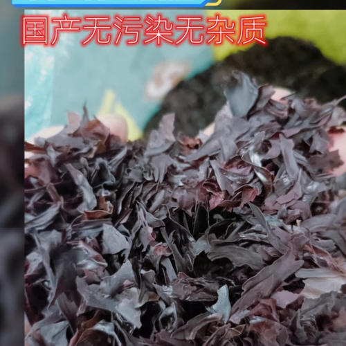 红皮掌状海藻大片初级农产品