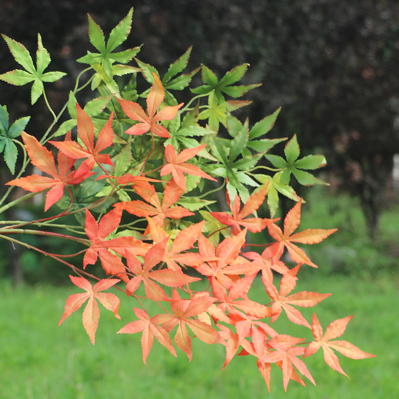 花舍仿真枫叶室内装饰软装摆件