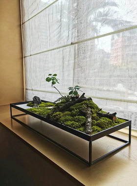 轻奢风格绿色植物装饰桌面摆件办公桌会议室长桌微景观盆景苔藓景