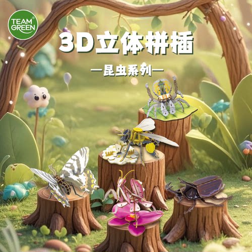 teamgreen拼图diy模型