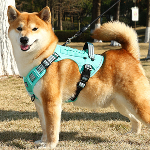 背心式狗狗牵引绳中大型犬柴犬柯基犬专用边牧可调节胸背带遛狗绳